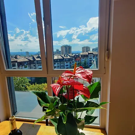 Apartment Dalija Novi Sad